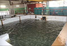 ������ �������� ������� ������������ �� �������� ����