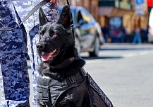 ������� ������������� ���������� �� �� ������� �������� �������� � �������