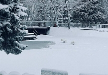 ��� ������ ��������� �� ����� � ���������� �������