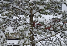 �� ������ � ��� �� ����� � ���������� ������� ������ �������