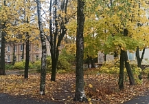 �������� ������� ��� ������� ���������� ������� �� ������� 2026 ����