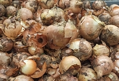 ������� ������ �� 20 ����� ������ �� 1 �� ���������� ��������� �� �������������