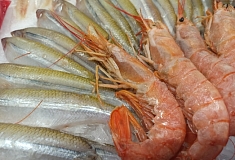 ����������� ���� ������� ���������� ������� �������� ���������� ���� ��� �����