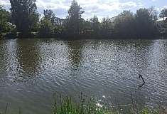 ����� ���� ��������� � ����� ���������� �������