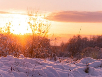 ���������� ����� ����������� ������ �������� � ������� ���������