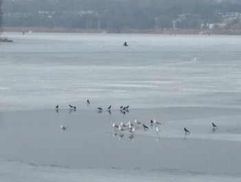 � ������� ������ �������� ������ �� ������ ����� �������