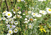 �������� ���������� ������� ��� ������� ���������� ������� �� ������ 2026 ����