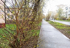 ��������� �������������� ��������� � ���������� ������� 26 ������ 