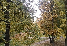 �������� ���������� ������� ��� ������� ���������� ������� �� ������ 2026 ����