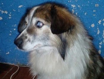 ������ ��������� ������, ������ ���������� ��� ��