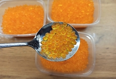 � ���������� ������ ���� ��������� ���������� ������ ��������  