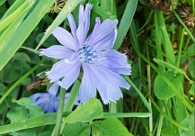 ��������� ���-5 ������� �������� ������� 2025 ���� � ���������� �������