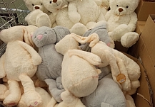 ����� 6 ����� ��������� ���������� ������� ���� ������� �����������