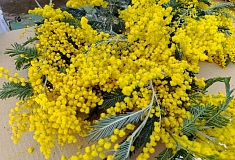 ��� ���������� ��������������� ��������� 8 �����