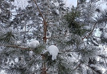 � ���������� ������� � ����� �������� ������ 