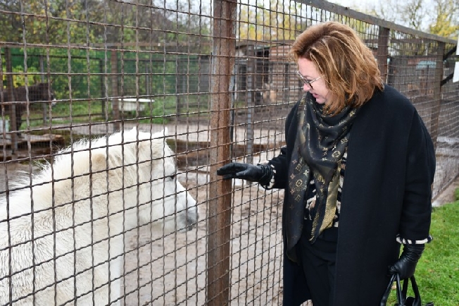 Депутаты Ивгордумы берут под опеку животных зоопарка
