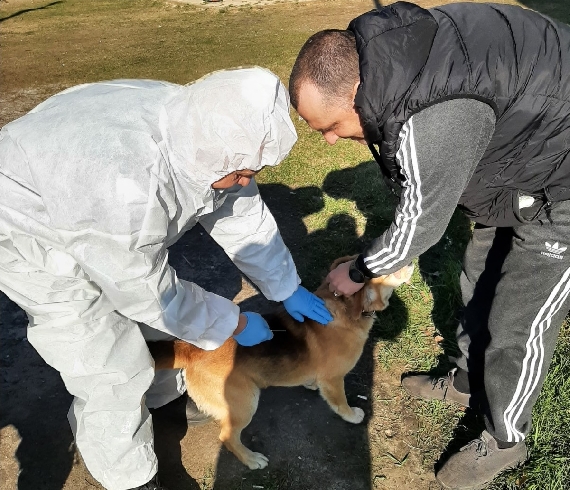 ����� ����� � ����� � ���������� ������� ������� �� ���������