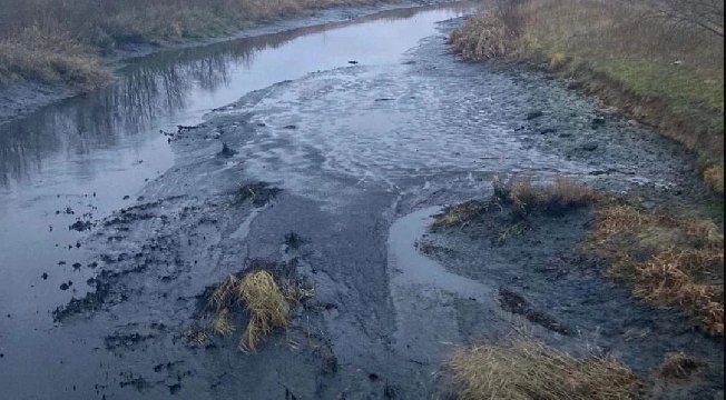 Жители Родников жалуются на загрязнение рек промышленными стоками