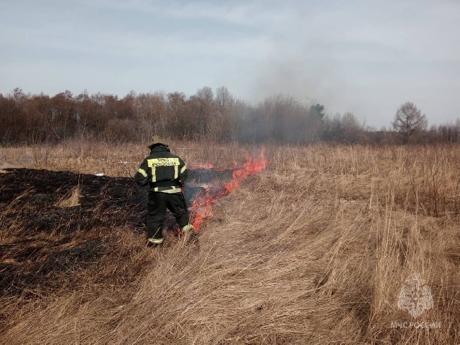 В Ивановской области начала гореть трава