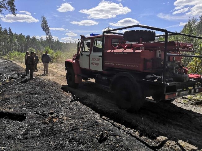 Торфяной пожар зафиксировали в Ивановской области