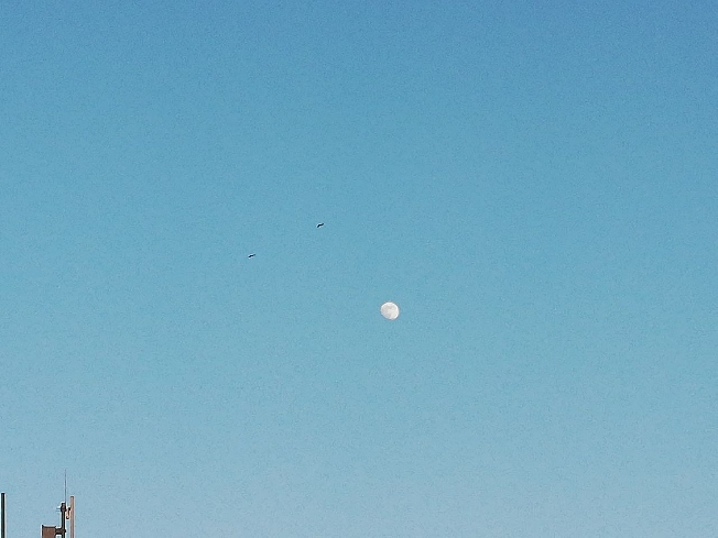 ��������� ����� ������ �������� ������ 28 �������