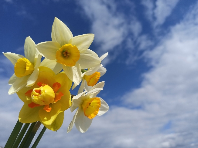 Оперштаб Ивановской области спустя 40 часов отменил опасность атаки БПЛА