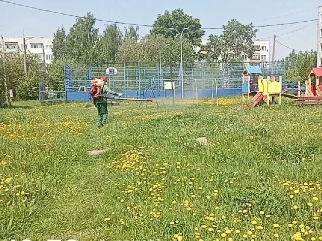 ������ ������ ������: ��� � ������� �������� ������� ��������