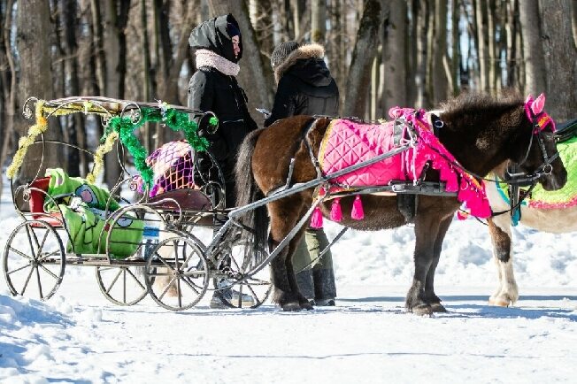 Незаконно привлекают к работе детей лошадники в Иванове