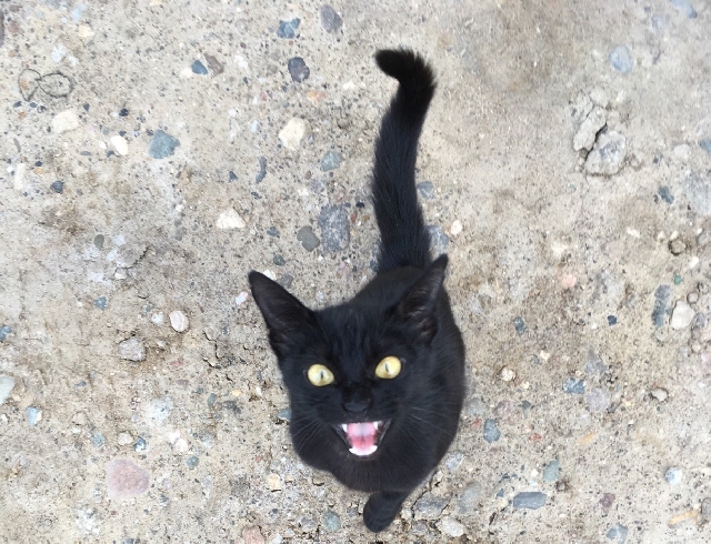 ������� ���� ������ ���������: ������� ������� � ��������� ����������