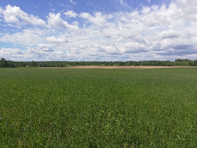 Идёт проверка по факту нарушений при выделении земли председателю районного суда Иванова 