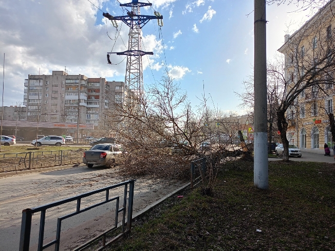 Ураган в Ивановской области повалил деревья и сорвал спутниковые тарелки