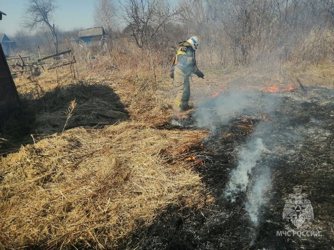 В Ивановской области спалили 34 га травы