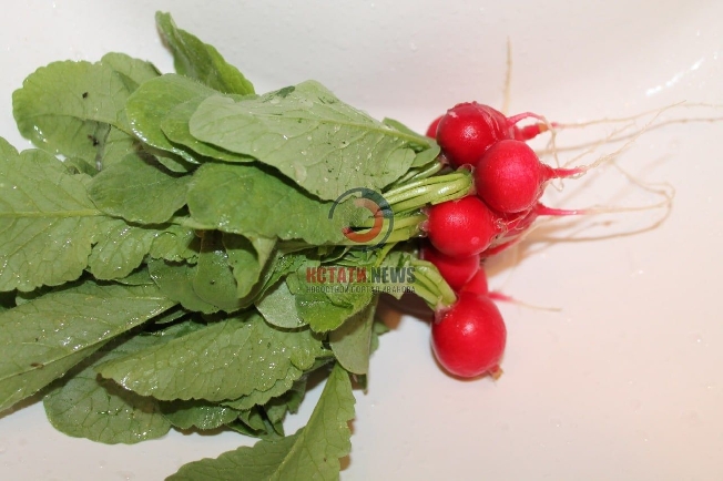 Ивановские магазины снизили цены на ингредиенты для салата