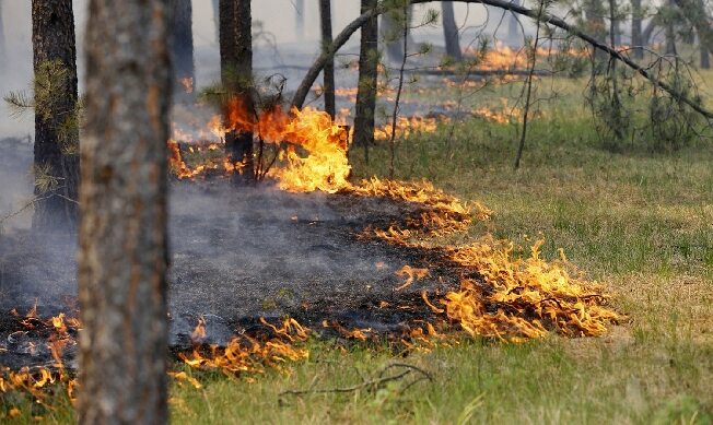 В Иванове объявили максимальный уровень пожарной опасности V класса