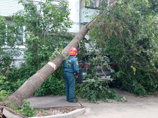 После грозы в ивановскую ЕДДС поступило 116 обращений по аварийным деревьям