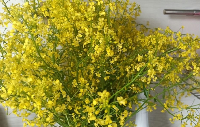 ����� �������������: � ���������� ������� ���� �� +13 