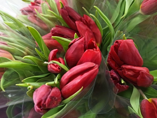 ���� ������� � ���������� ������� ��������� �������� �����������