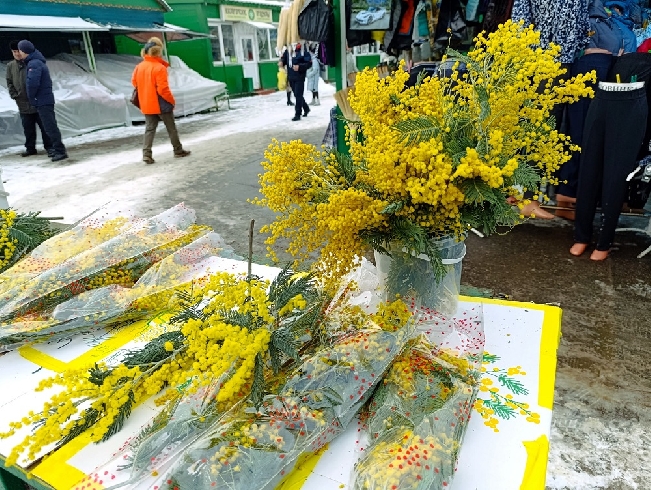 ����� ���������� ���������� ������ ������ � ������