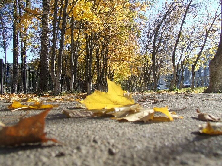 солнце в тумане. осень снег. погода ветреная апрель похолодание прикольные. снег во дворе. утро было холодное и ветреное.