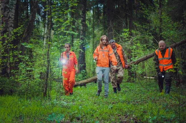 В Ивановской области 4-й день не могут найти пропавшего грибника