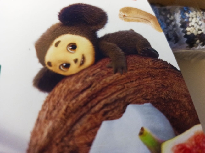 Из-за Чебурашки жителя Иванова вызвали в суд 