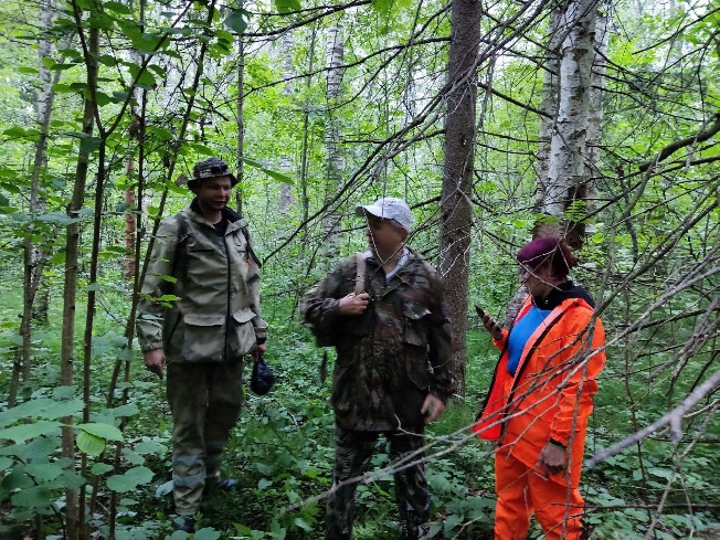 В Ивановской области с 1 по 15 июля поступило 78 заявок на поиск пропавших грибников