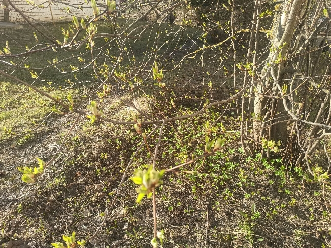 �������� ���������� � ���������� ������� ���� � ���� ���������