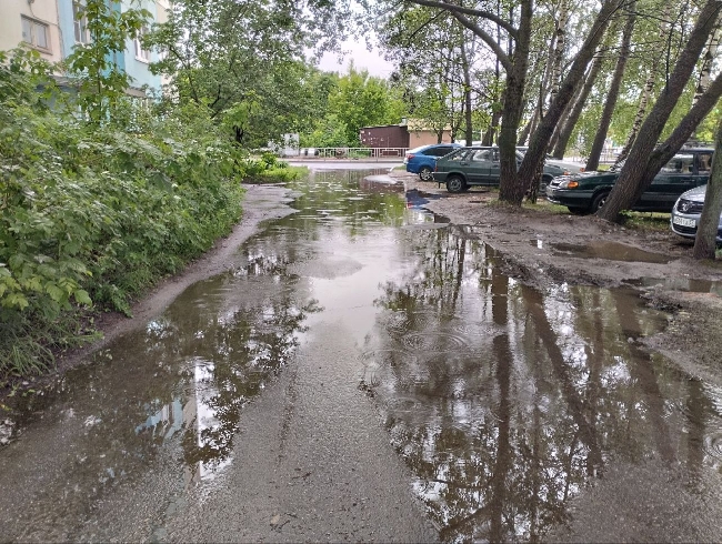 Две недели дождей ждут жителей Ивановской области