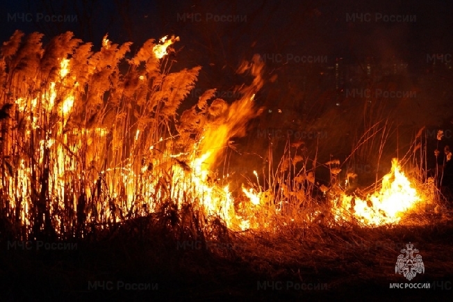 В Ивановской области за сутки потушили 5 700 кв метров горящей травы