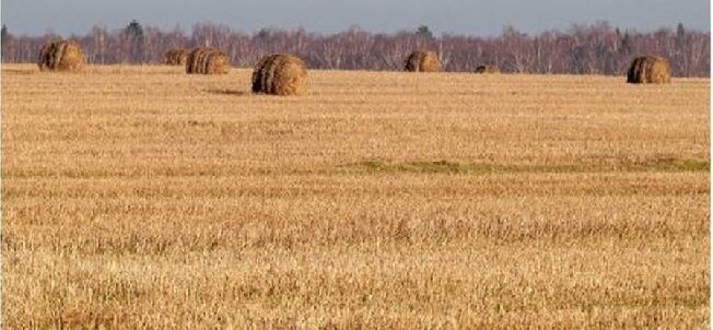 В Ивановской области готовят масштабный культурный проект