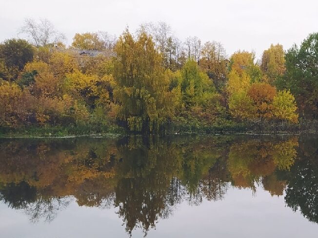 Октябрь приготовил жителям Ивановской области приятный сюрприз