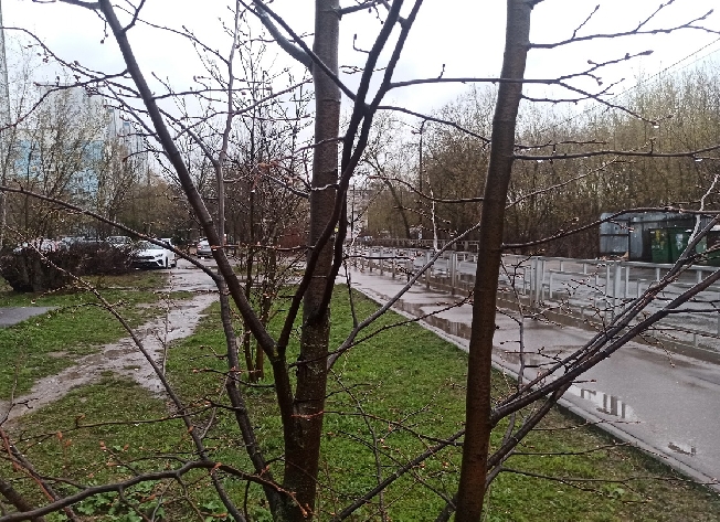 ������� ���������� ������� ����� ��������� ���� � �����