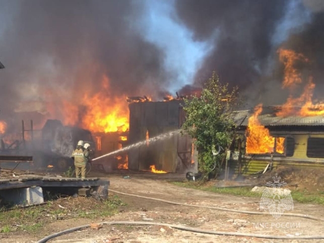 В Ивановской области из горящего подсобного хозяйства эвакуировали животных