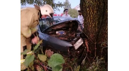В Ивановской области иномарка врезалась в дерево